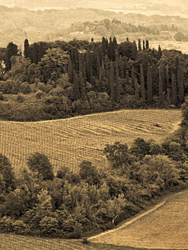 Dolina San Gimignano