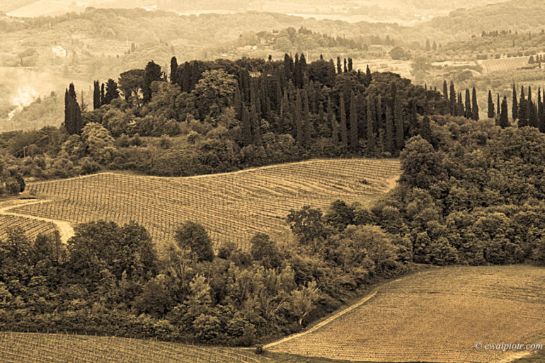 Dolina San Gimignano