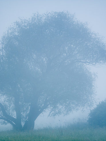 Zimny świt, balans bieli