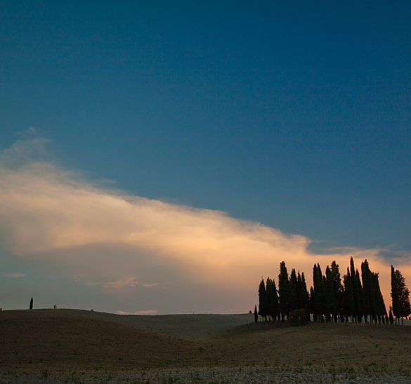 Toskania, TE cyprysy