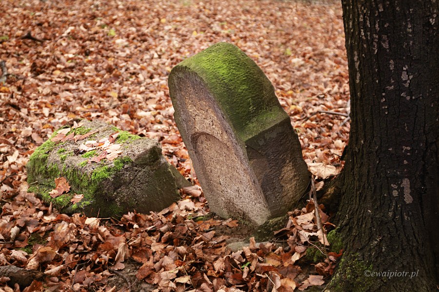 cmentarz żydowski, Wieliczka