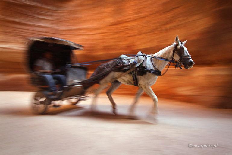 Petra