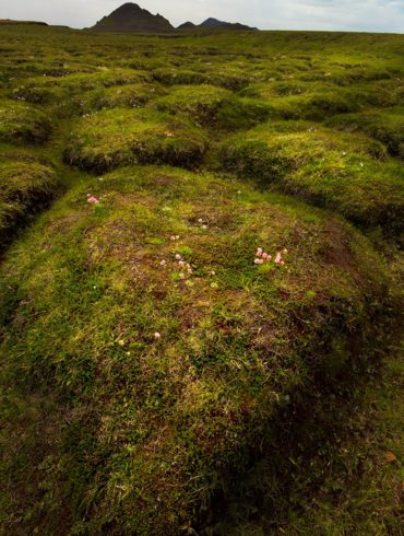 Islandia, krajobraz powulkaniczny