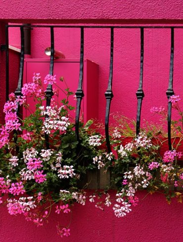 Burano