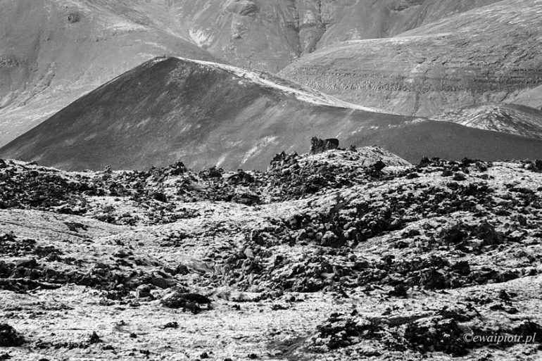 Islandia, pola księżycowe