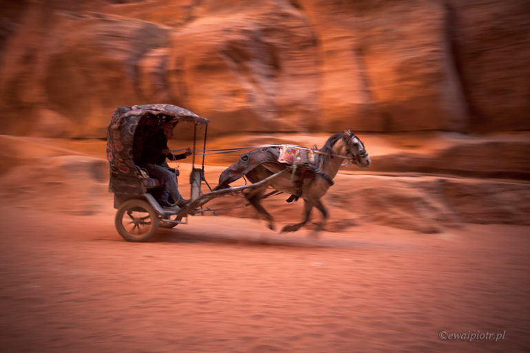 fotowyprawa Jordania, dorożka Petra