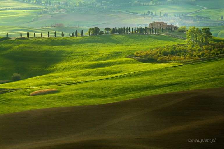 Toskański poranek