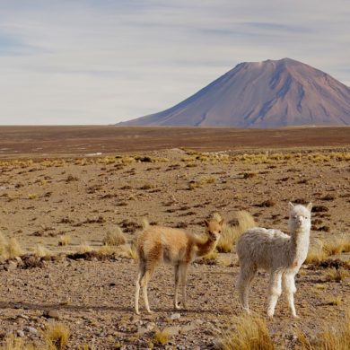 Peru