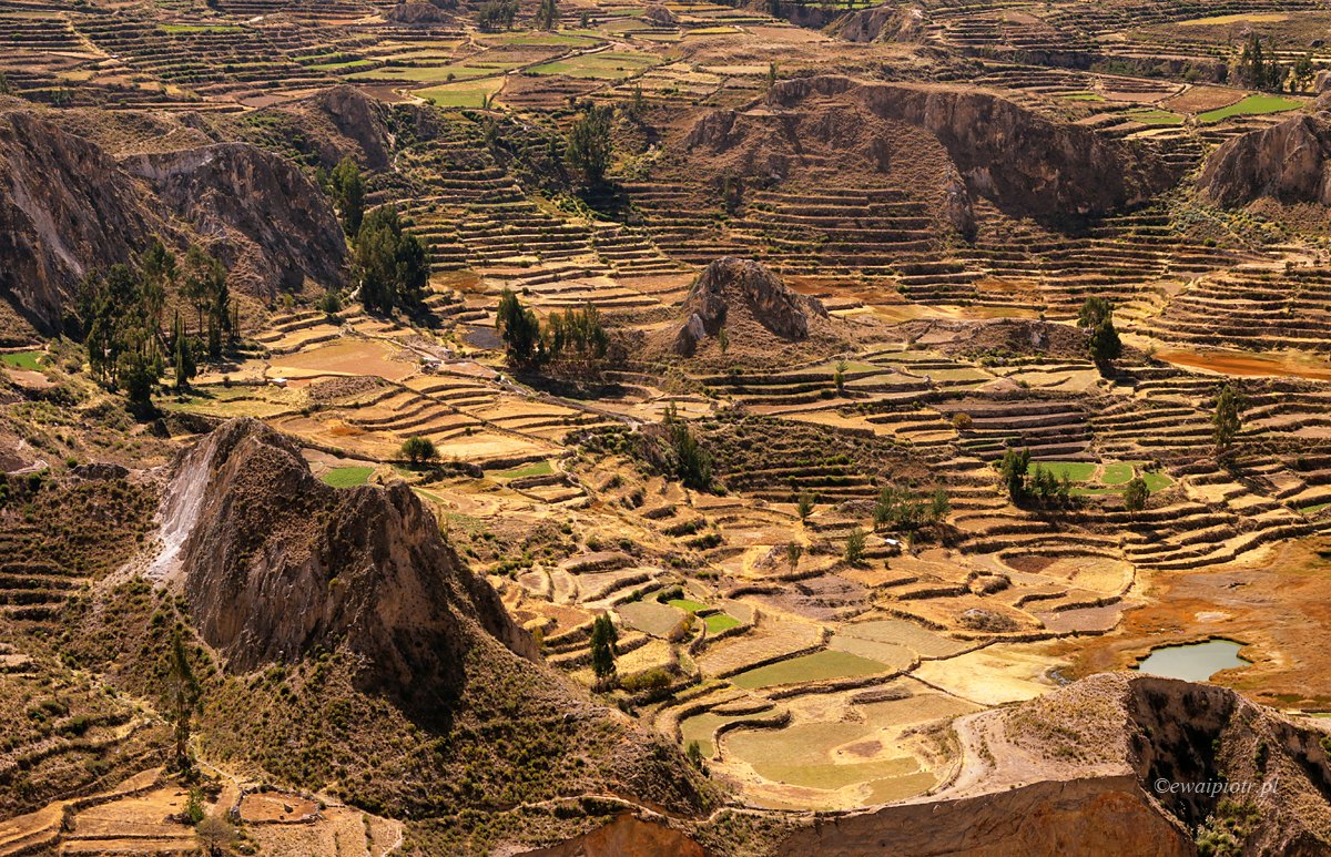 Tarasy uprawne w Andach, Peru