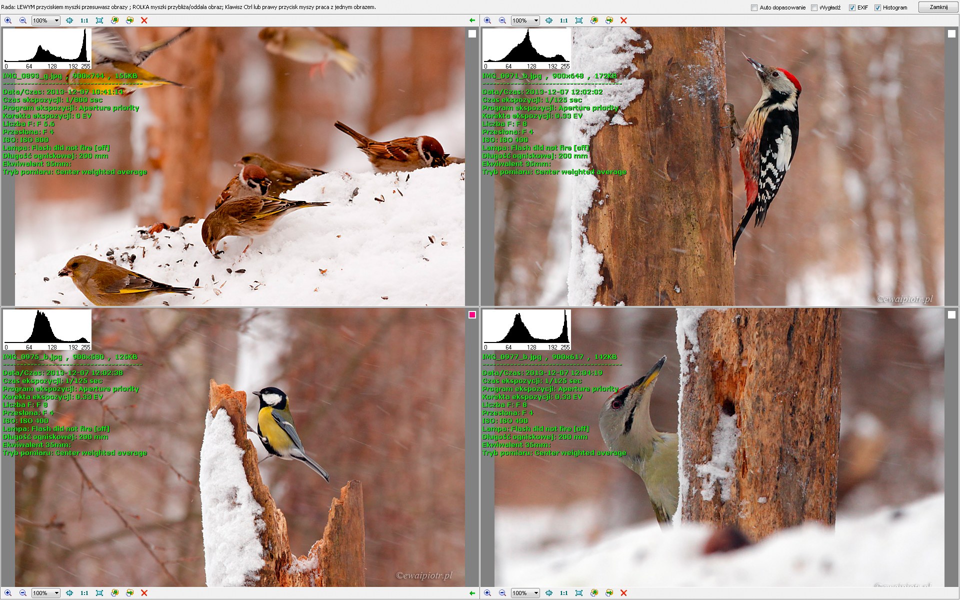 FastStone Image Viewer - porównywanie kilku zdjęć FastStone Image Viewer - porównywanie kilku zdjęć