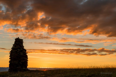 Cairn islandzki