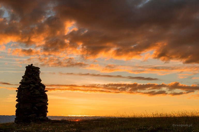 Cairn islandzki