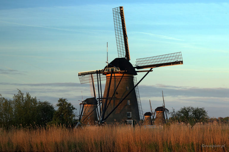 Pierwsze promienie wiatraka, Holandia