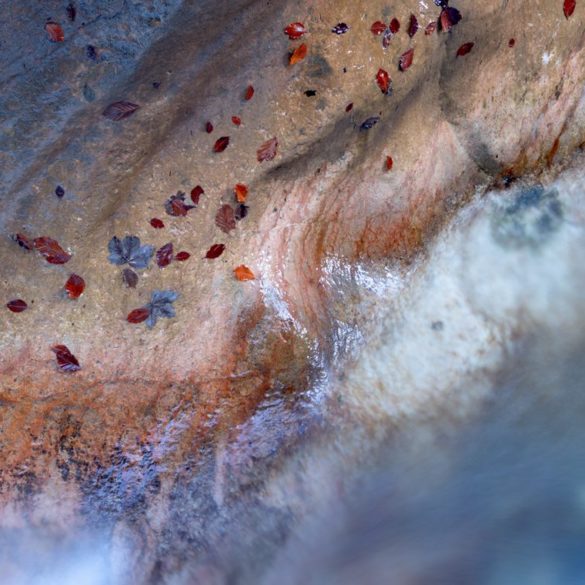 Strumień i liście, fotowyprawa do Bawarii