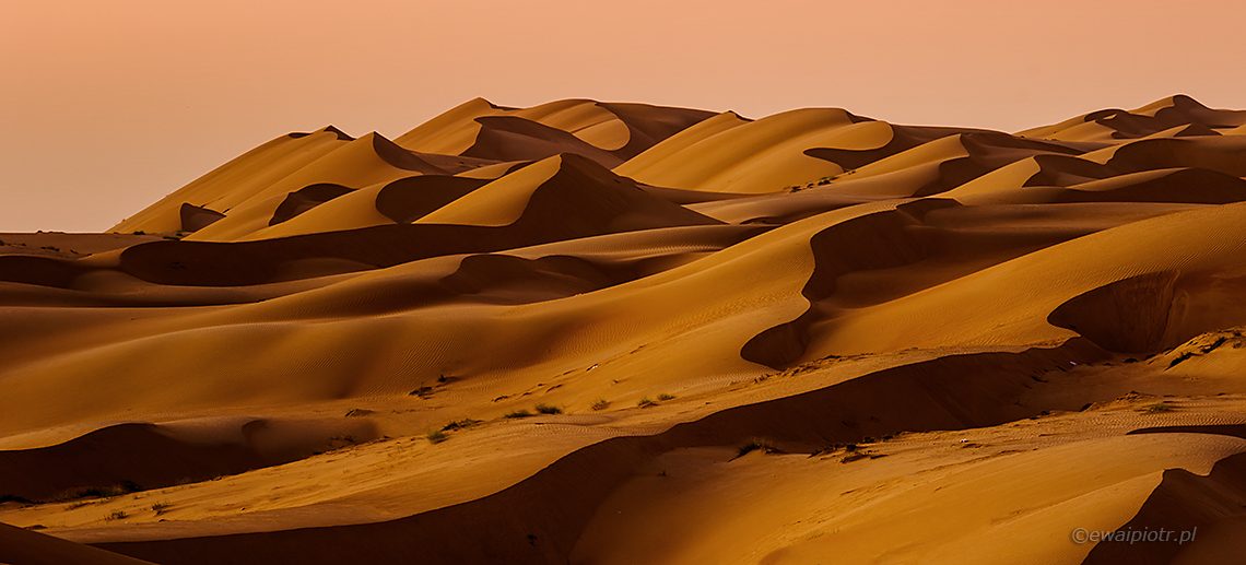 Z fotowyprawy do Omanu - pustynia Wahiba