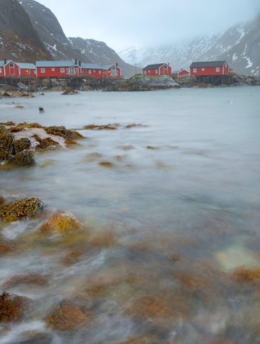 Czerwone domki i fjord, Lofoty, fotowyprawa