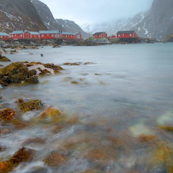 Czerwone domki i fjord, Lofoty, fotowyprawa