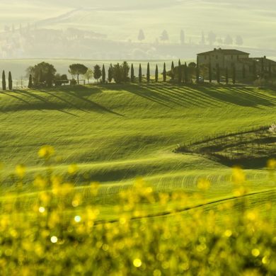 Wiosna w dolinie Val d'Orcia, Toskania, warsztaty fotograficzne