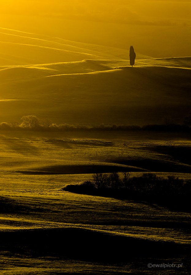 kadrowanie w krajobrazie, Val d'Orcia