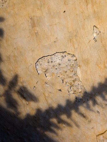 Cień, rośliny, mur, Santorini, jak fotografować cień