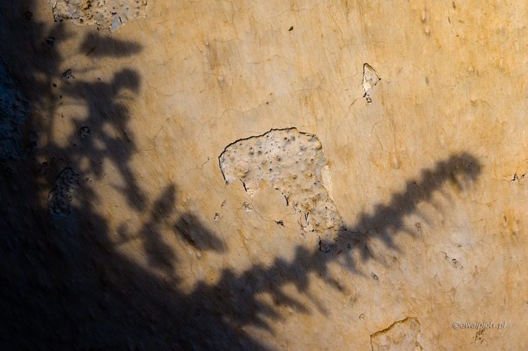 Cień, rośliny, mur, Santorini, jak fotografować cień