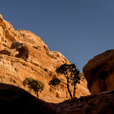 subskrypcja Adobe problem, Jordania, Petra