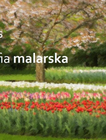Fotografia malarska ebook