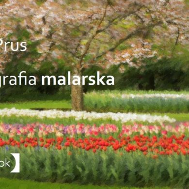Fotografia malarska ebook