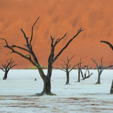 Deadvlei: czekając na światło, Namibia