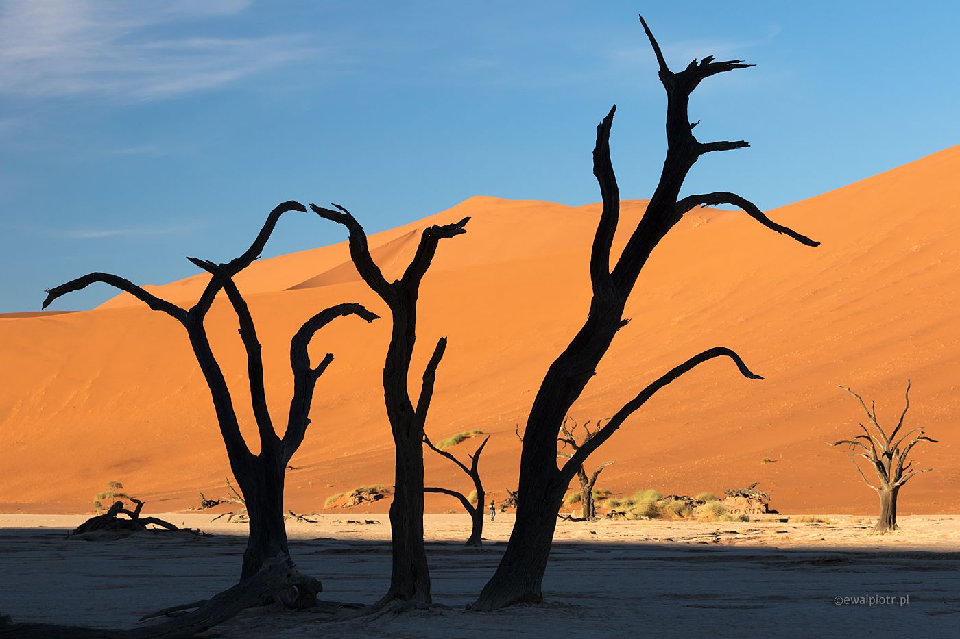 Deadvlei i fotograf, Namibia