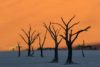 Martwe drzewa Deadvlei, Namibia