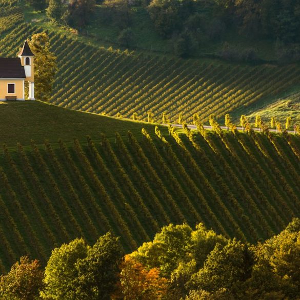 Kościół w winnicy, Słowenia, fotowyprawa
