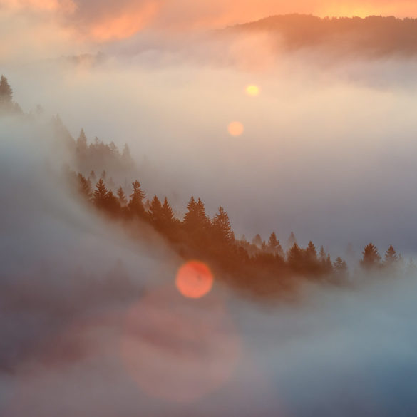 Mgła i flara, Słowenia