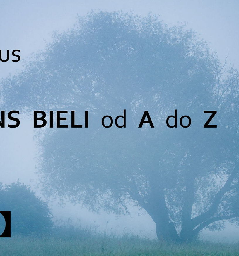 Balans bieli od A do Z - poradnik, ebook, książka do fotografii, WB