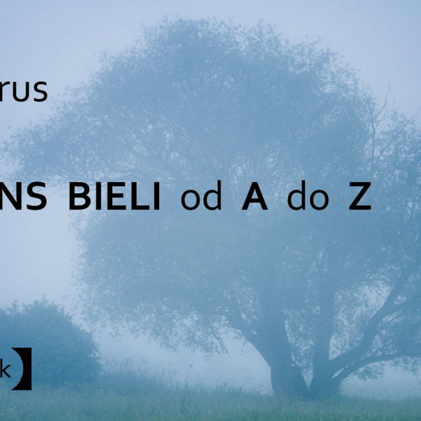Balans bieli od A do Z - poradnik, ebook, książka do fotografii, WB