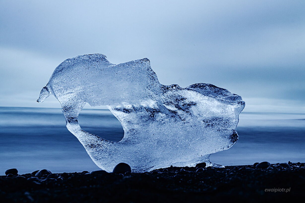 Lodowy smok z Jokulsarlon, Islandia