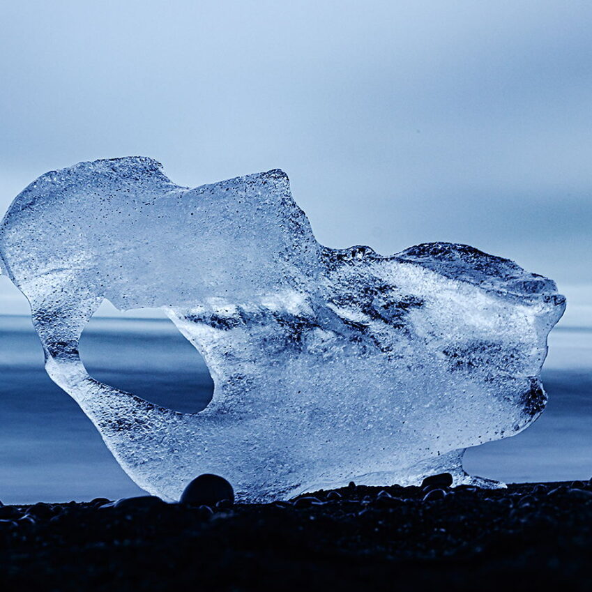 Lodowy smok z Jokulsarlon, Islandia