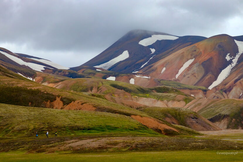 Pasiaste wzgórza Landmannalaugar, Islandia