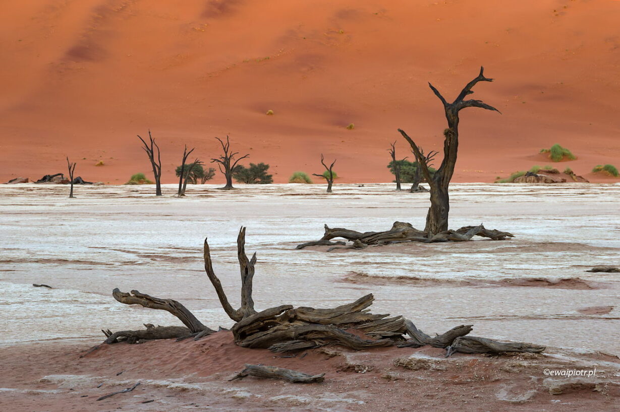Pustynia w cieniu, Namibia