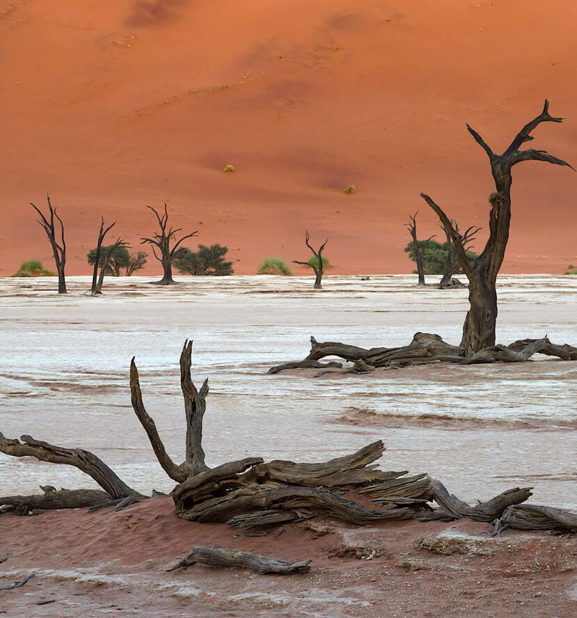 Pustynia w cieniu, Namibia