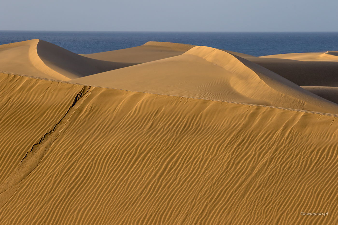 Wydmy Maspalomas, Gran Canaria, Wyspy Kanaryjskie