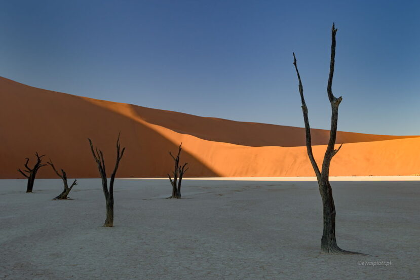 Wschód słońca na Deadvlei, Namibia