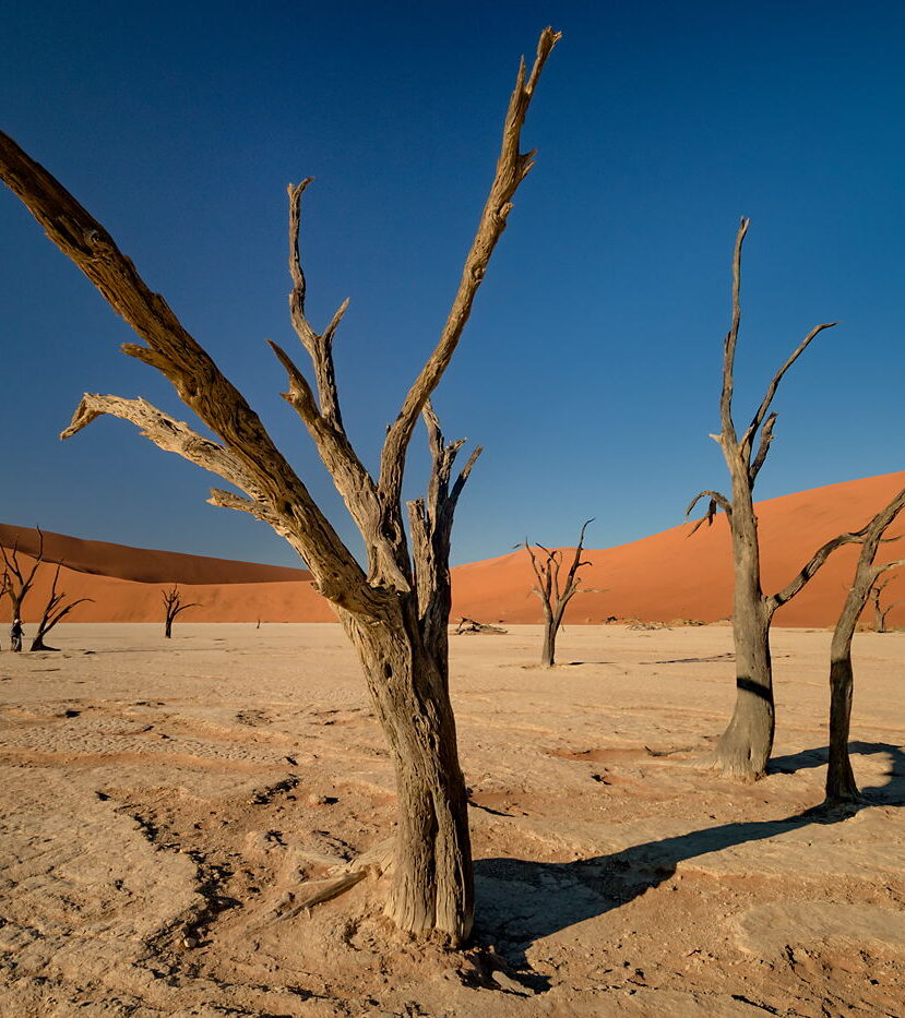 Deadvlei o poranku, Namibia