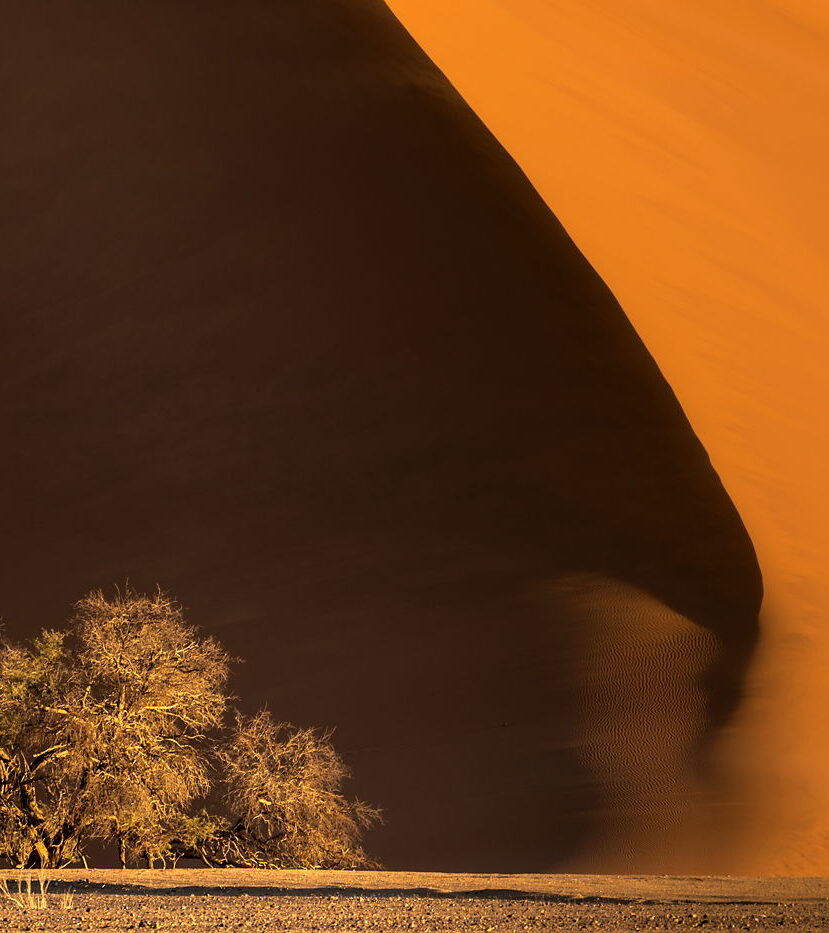 Wydmy Namibii