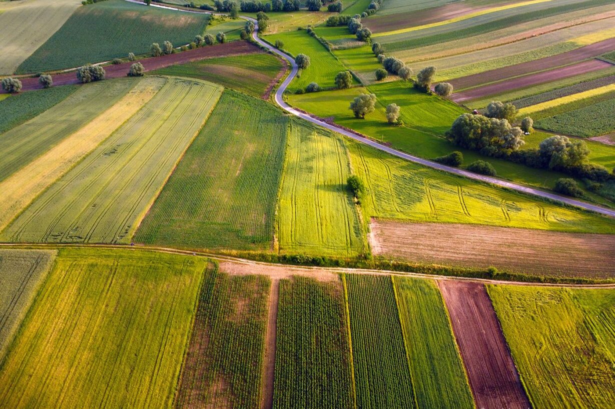 Świętokrzyskie pola, z drona, Mavic Mini