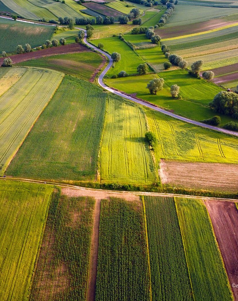 Świętokrzyskie pola, z drona, Mavic Mini