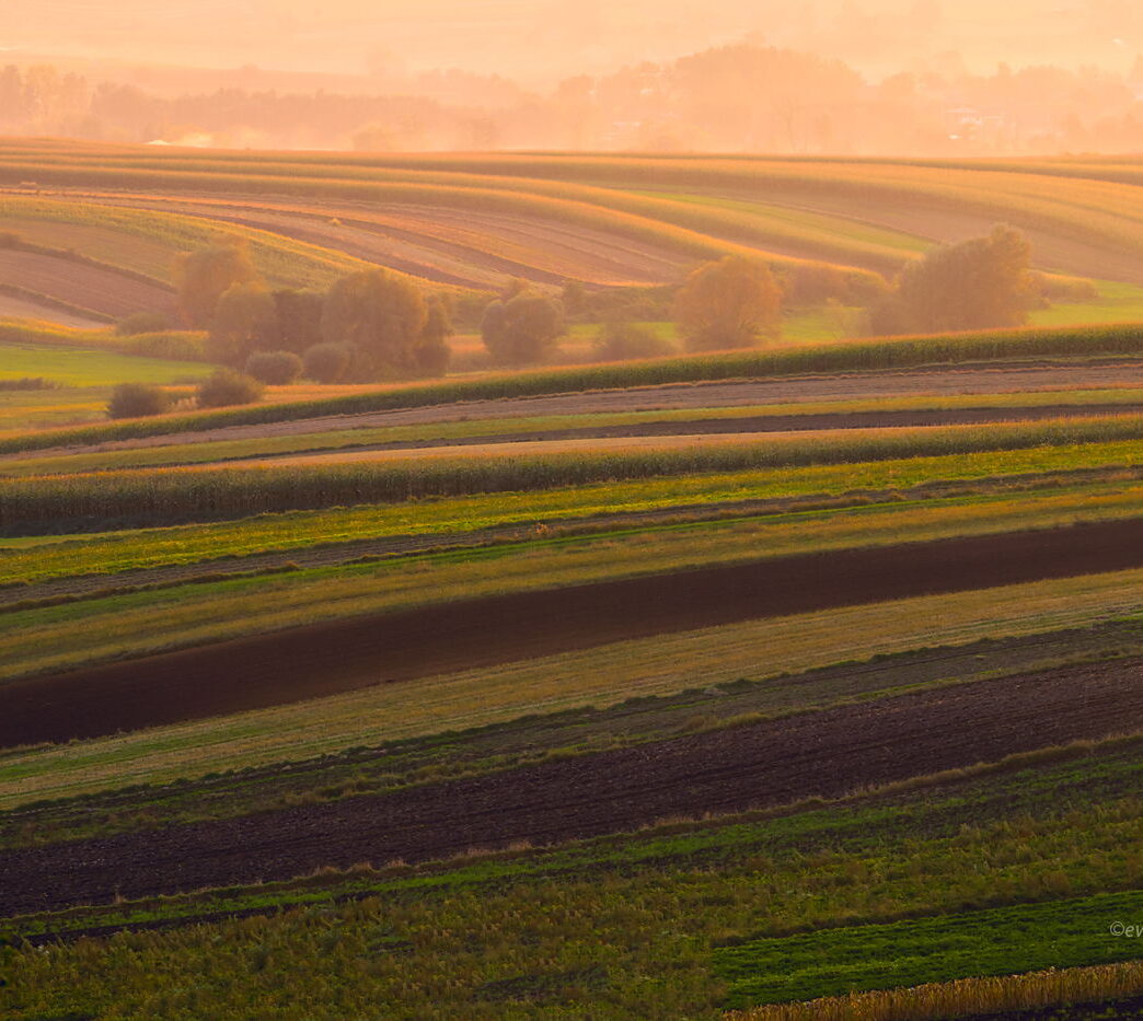 Zachód na pasiastych polach, Czarowne Świętokrzyskie, relacja z warsztatów fotograficznych
