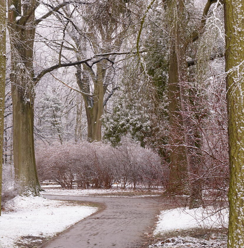 Zima we wrocławskim parku, jak fotografować śnieg