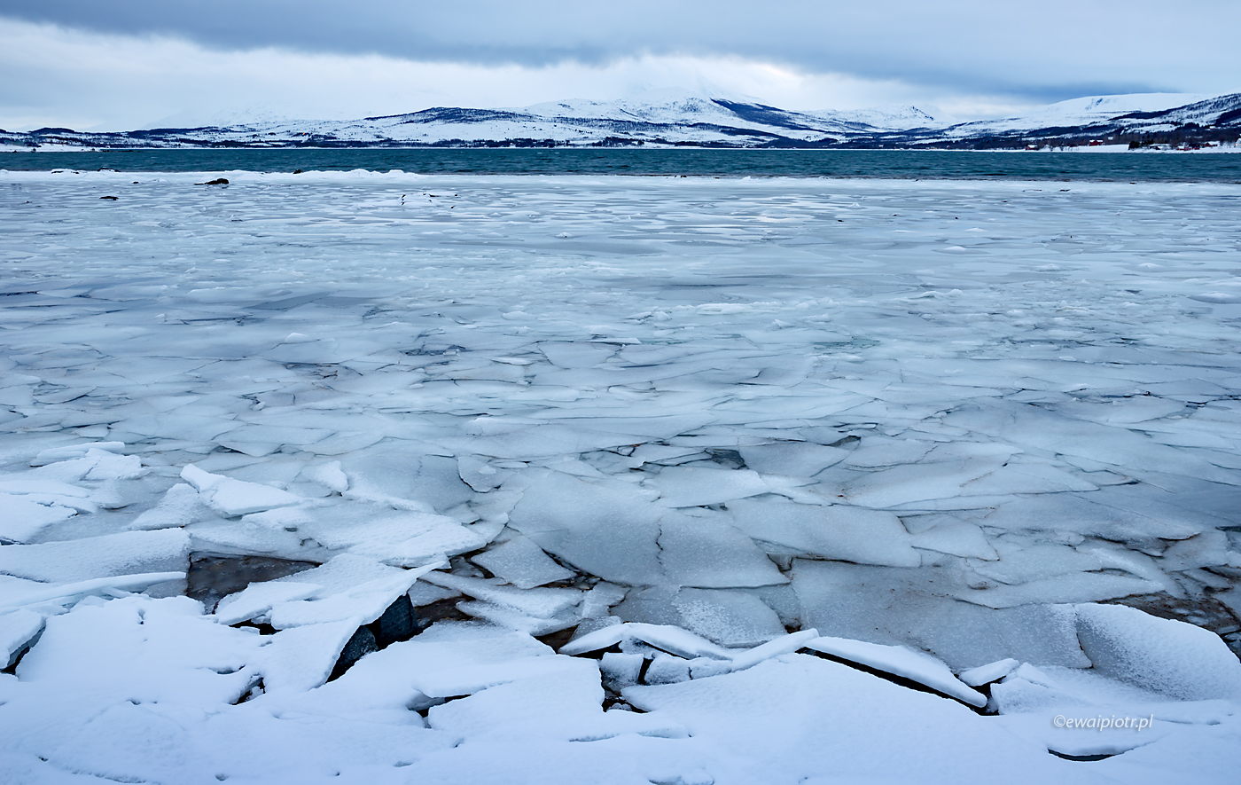Fiord wśród lodów, Norwegia, kra, wyprawa foto