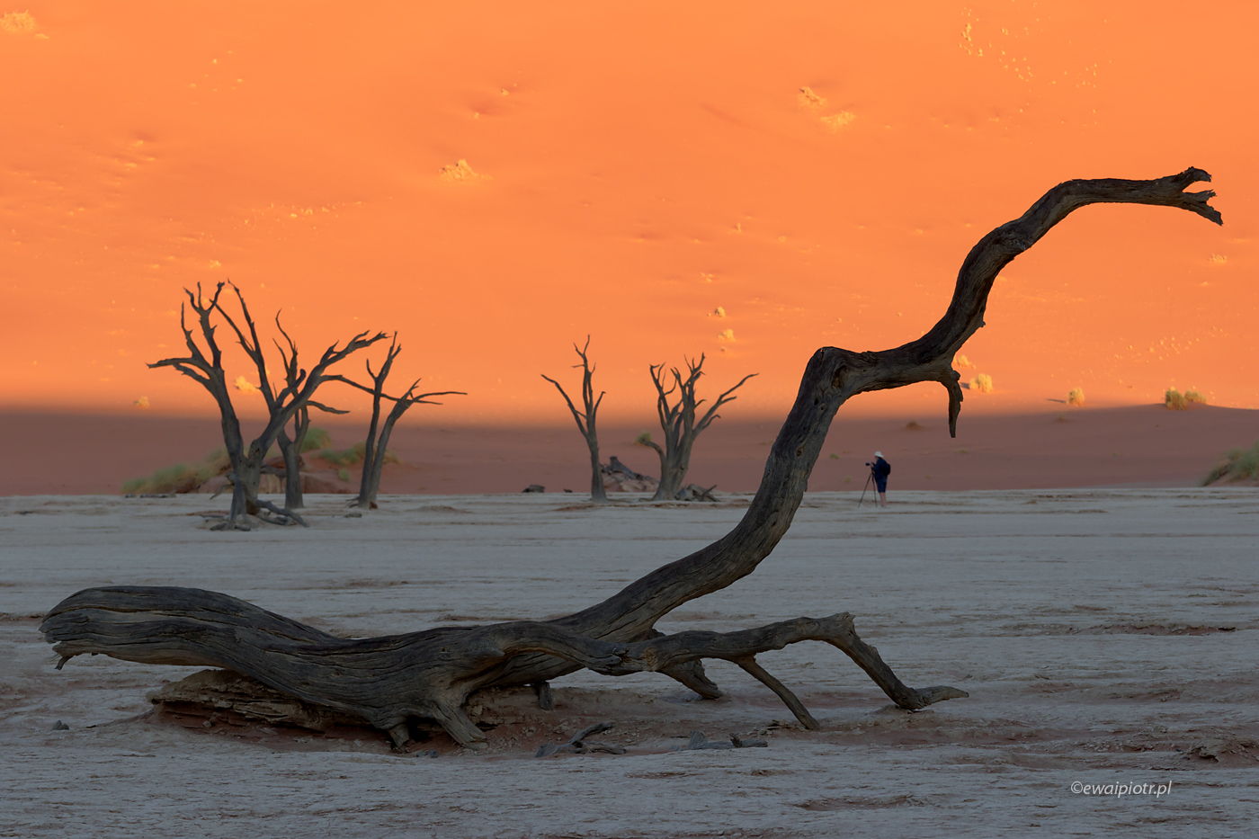 Martwy las - Deadvlei, Namibia